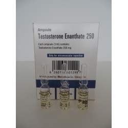 TESTOSTERONE ENANTHATE 250 (250mg/1ml.) IRAN - 50 amps